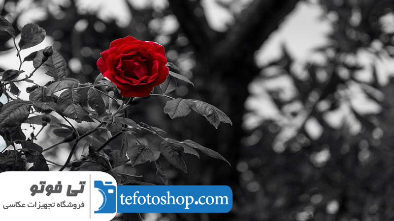 ایجاد کنتراست با روش های خلاقانه 